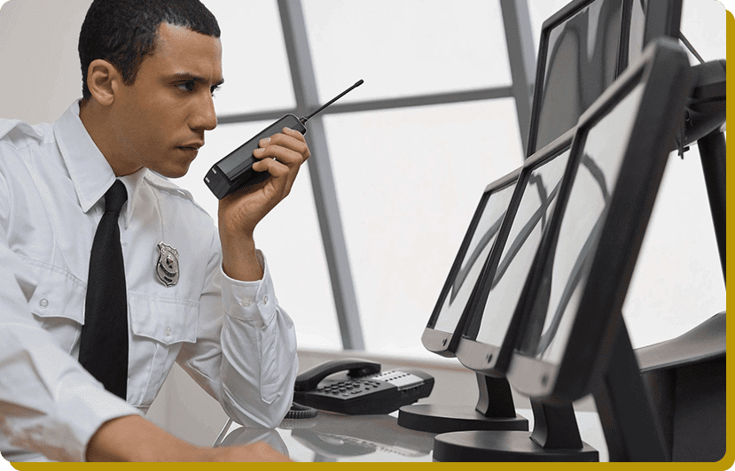 Professional security services